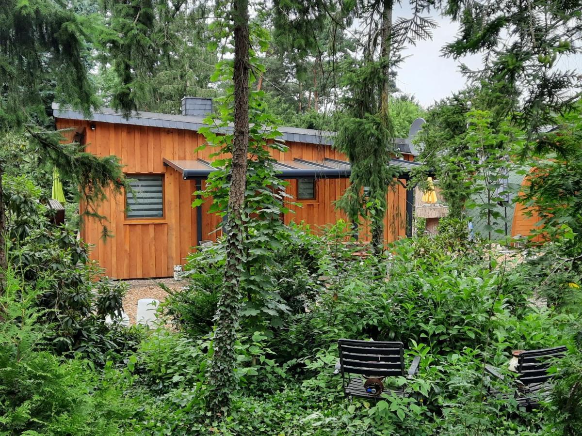 Ferienhaus Leon Mit Sauna レーブルク＝ロックム エクステリア 写真