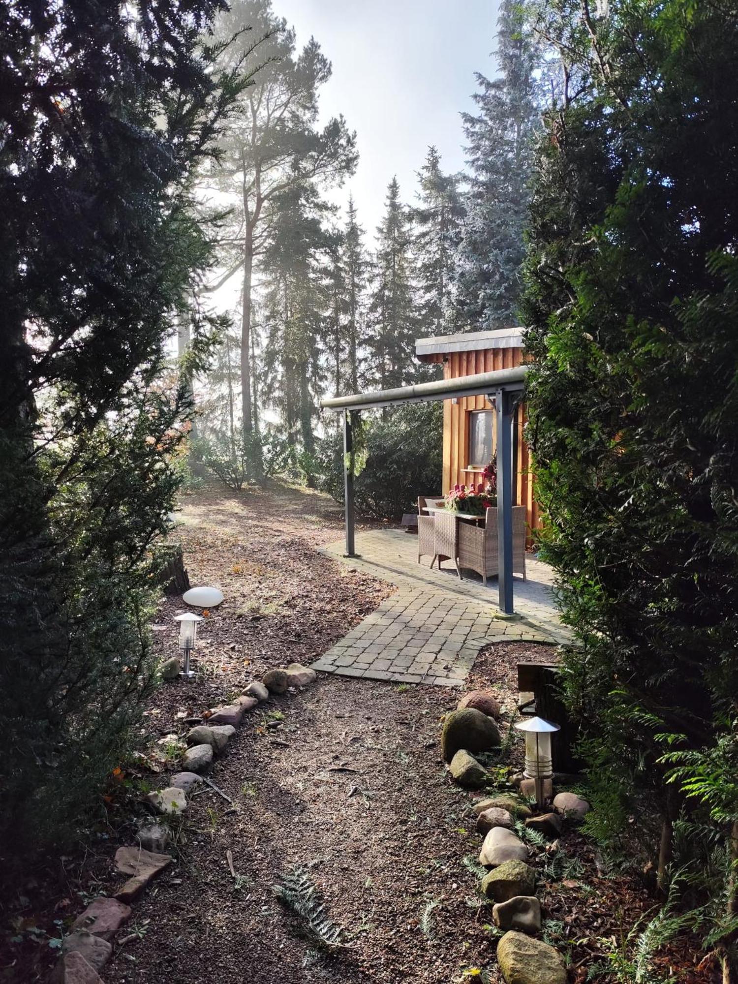Ferienhaus Leon Mit Sauna レーブルク＝ロックム エクステリア 写真